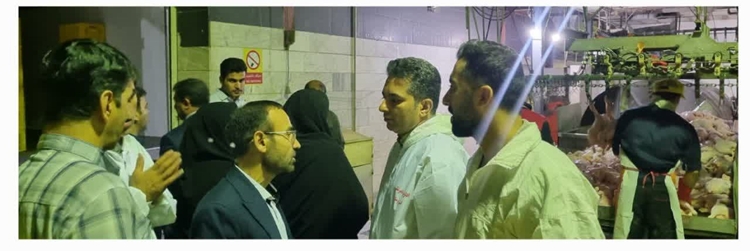 بازدید فرماندار و هیئت همراه از کشتارگاه مرغ ماکیان دورود